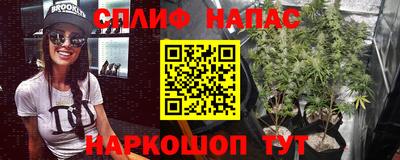 шишки Донецк