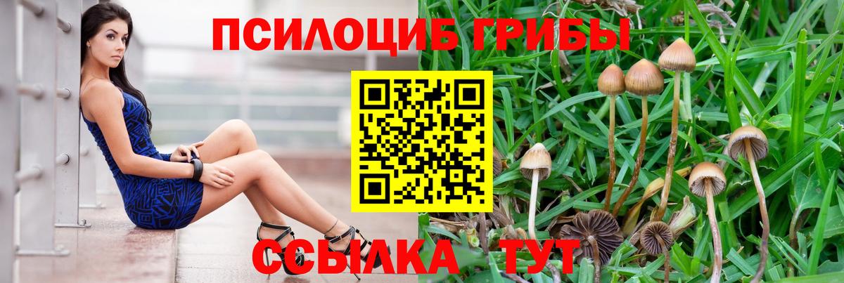 Псилоцибиновые грибы мухоморы  наркотики  Галлюциногенные грибы MAGIC MUSHROOMS  Канаш  Вход с VPN 
